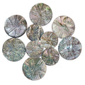 Abalone-Perlmuttknopf Art.Nr. PL-AB-4040-50
