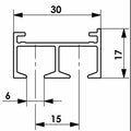 Technische Zeichnung Profilschiene mit zwei Laufrillen, Massangaben 30, 17, 15 und 6 mm