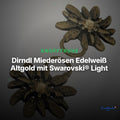 Dirndl Miederösen Edelweiß Altgold mit Swarovski® Light Topaz – TS-100 – Clean Showcase