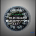 Trachtenknopf Blumenmotiv Gold – Ösenknopf – TK-123 – Clean Showcase