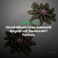 Dirndl Miederösen Edelweiß Altgold mit Swarovski® Fuchsia – TS-100 – Clean Showcase