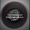 Trachtenknopf Blattmotiv Braun – Ösenknopf – TK-161BR – Clean Showcase