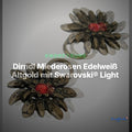 Dirndl Miederösen Edelweiß Altgold mit Swarovski® Light Siam – TS-100 – Clean Showcase