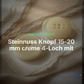 Steinnuss Knopf 15-20 mm creme 4-Loch mit Rand mit klassischem Schrift-Detail – Clean Showcase